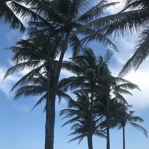 Meet your Posher, Raquel